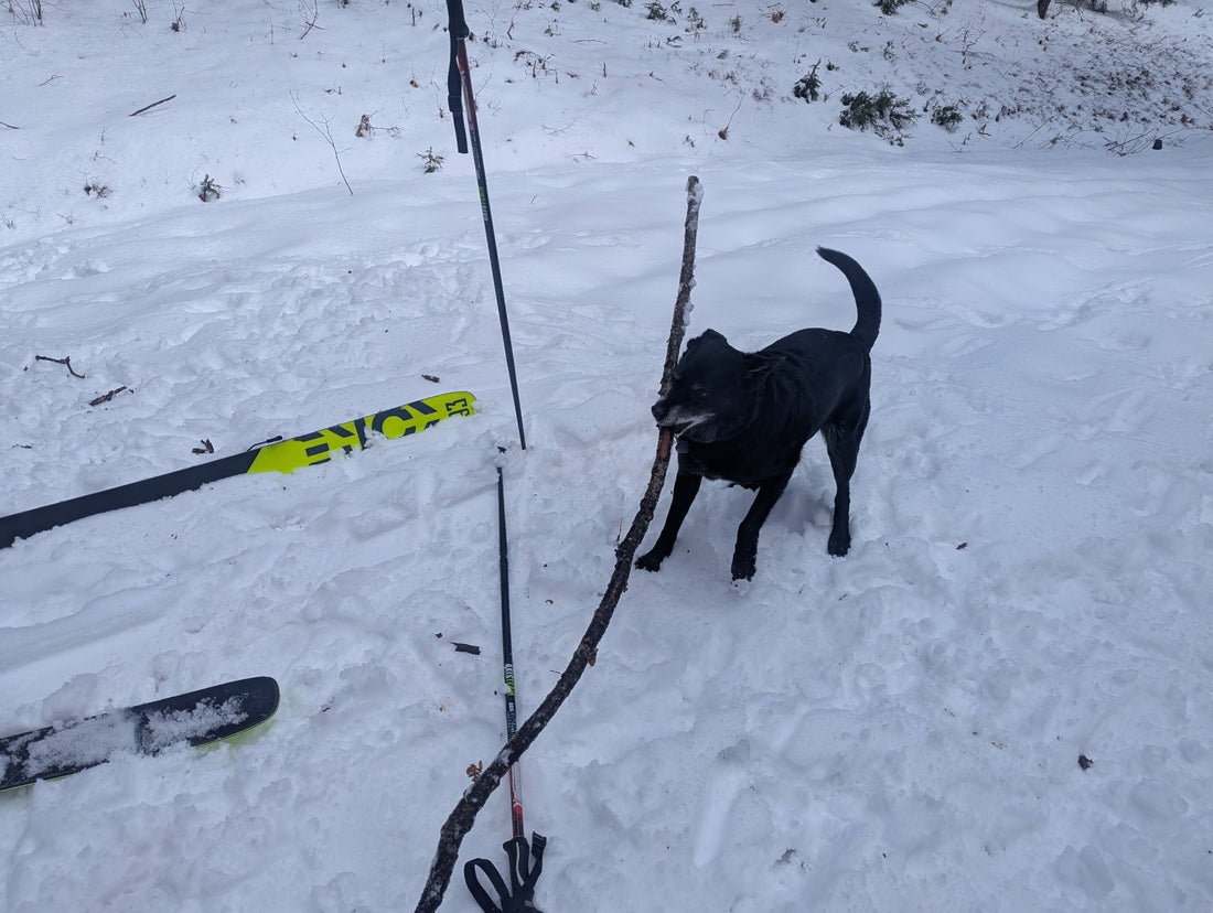Climbing Tecumseh in Spring Slush